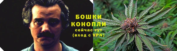 стафф Волоколамск