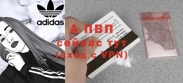 ПСИЛОЦИБИНОВЫЕ ГРИБЫ Волосово