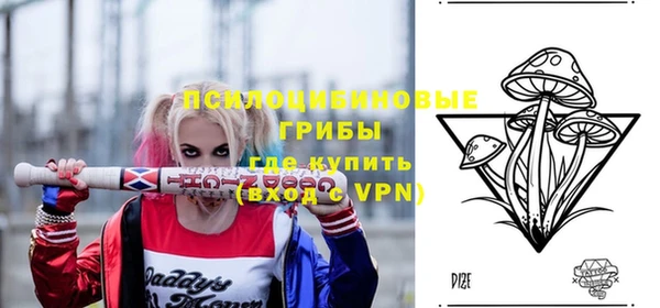 стафф Волоколамск